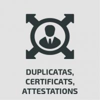 Duplicatas, certificats, attestations_0.jpg