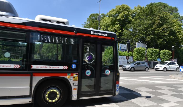 Bus