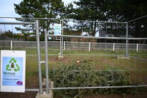 Parc à sapin