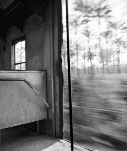 exposition
