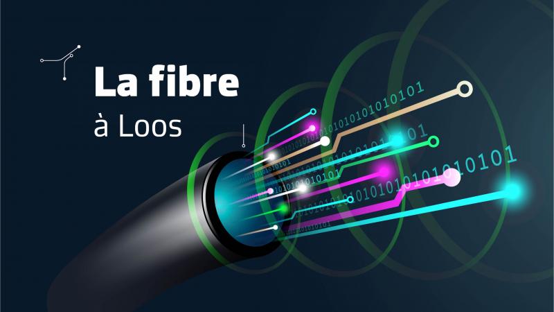 fibre